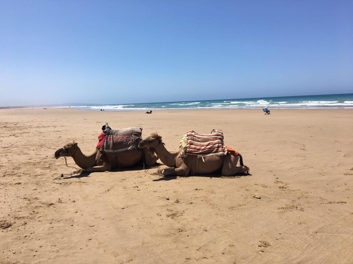 Seaview Appart Chez Hicham Hotel Asilah Exterior photo